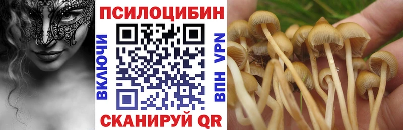 Галлюциногенные грибы Magic Shrooms  Нефтекамск 